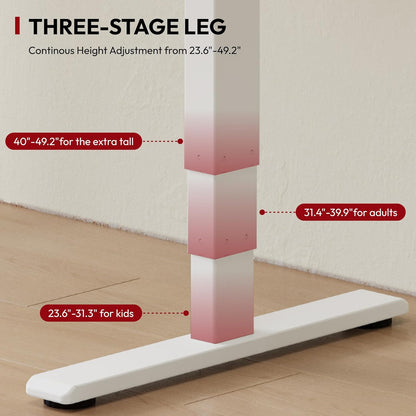 55" Electric Standing Desk, Dual Motor Height Adjustable Desk, Stable and Durable 3-Stage Stand up Desk for Home Office (White Frame/55 X 28 Inch White Top)